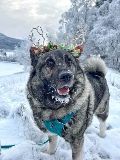 Reindeer Antler Christmas Reindeer Headband | LikeMyChoice®